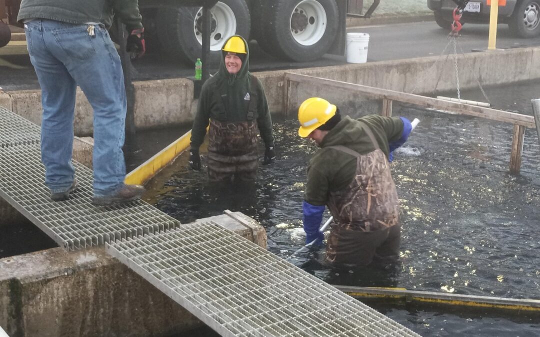 Missouri Dept of Conservation Stocking SEMO Lakes With Trout