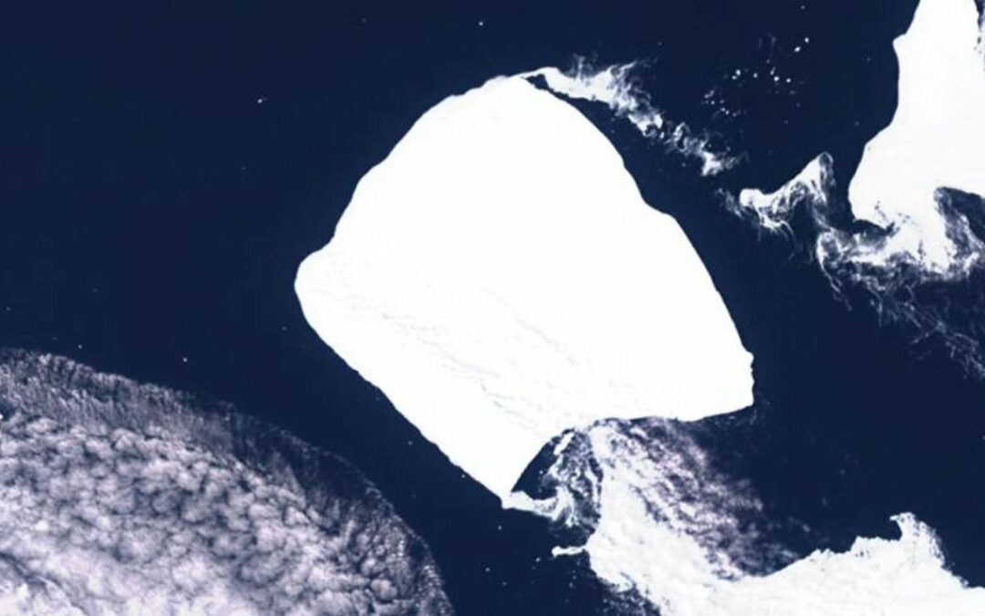 Enormous Iceberg Is On The Move.