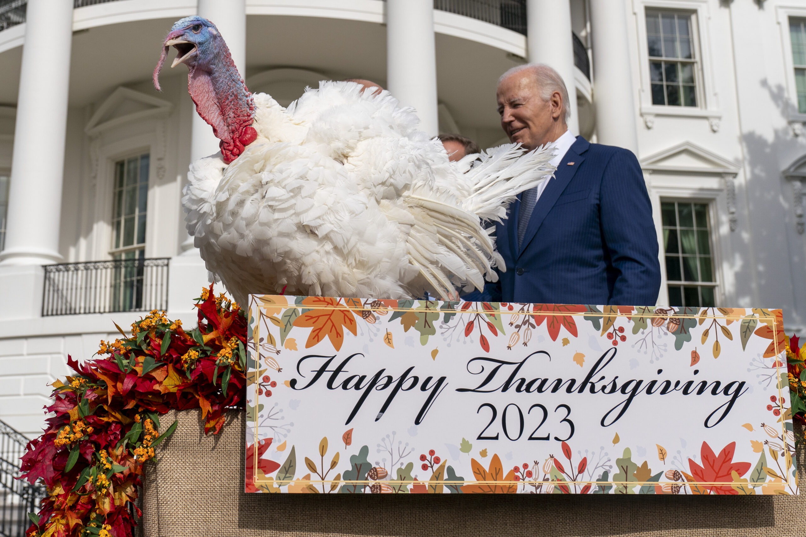 biden-pardons-national-thanksgiving-turkeys-while-marking-his-81st