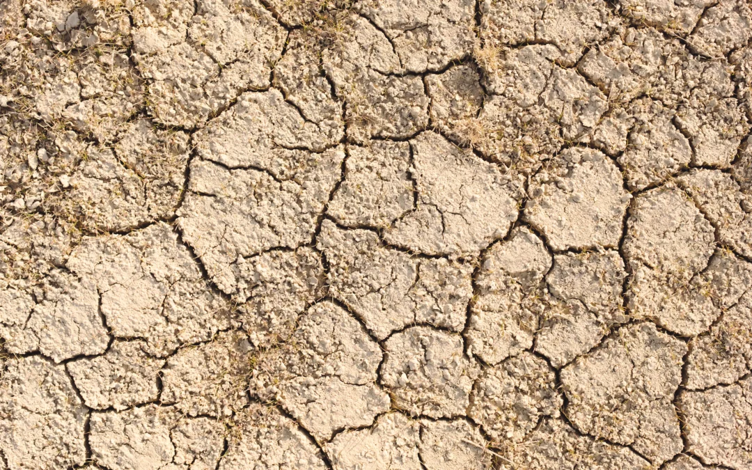 Drought conditions continue throughout SEMO