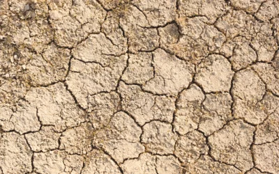 Missouri governor declares state drought