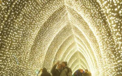 Thousands of lights at Chicago Botanic Garden illuminate tunnels, lilies and art