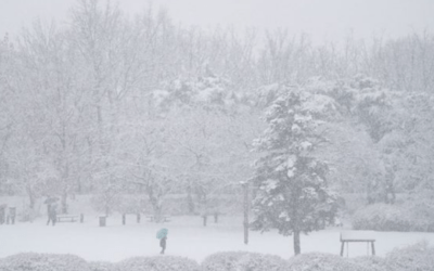 South Korea’s capital records heaviest single-day snowfall in December for 40 years