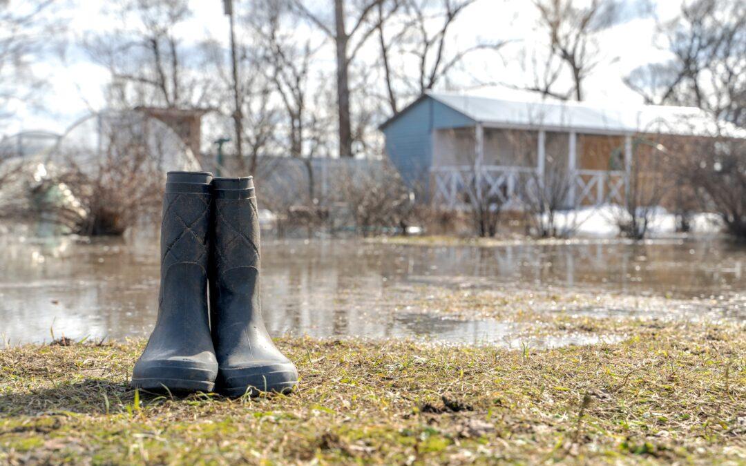 Flooding drives millions to move as climate-driven migration patterns emerge