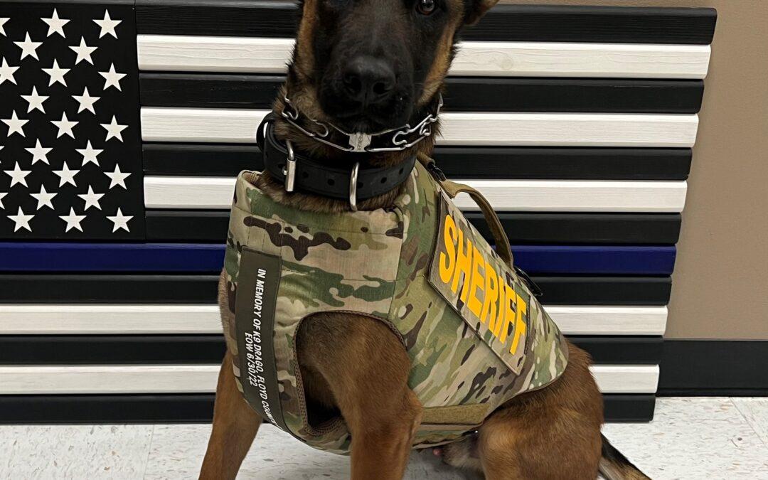 McCracken County Sheriff’s Office K9 Vegas has received donation of body armor.