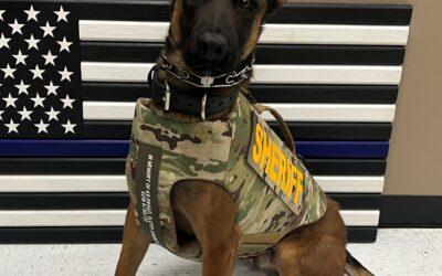 McCracken County Sheriff’s Office K9 Vegas has received donation of body armor.