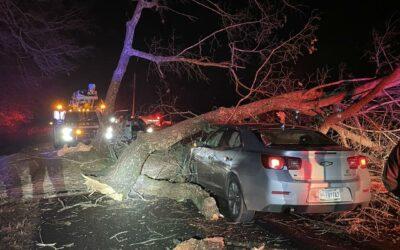 Fallen Tree Hit By Car Block Highway For Hours