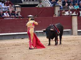 The return of bullfighting to Mexico’s capital excites fans and upsets animal rights groups