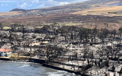 911 calls from Maui capture pleas for the stranded, the missing and those caught in the fire’s chaos