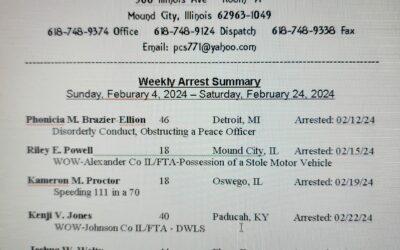 Pulaski County Arrests