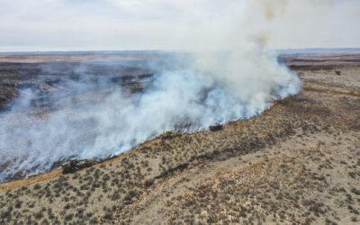 Texas firefighters battle flames stoked by strong winds as warnings are issued across the region