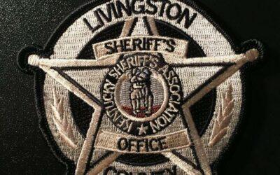 Livingston County Sheriff’s Weekly Activity