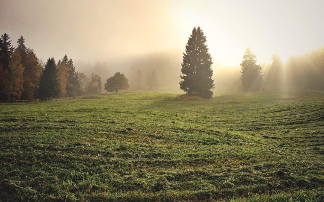 Regional pastureland outlooks brings mixed conditions