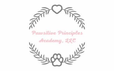 De Soto’s Pawsitive Principals Academy can help your pooch