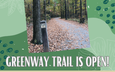 Greenway Trail Reopens after Temporary Closure for Paducah Sports Park Construction