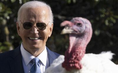 Bidens open final White House holiday season with turkey pardons, Christmas tree and ‘friendsgiving’